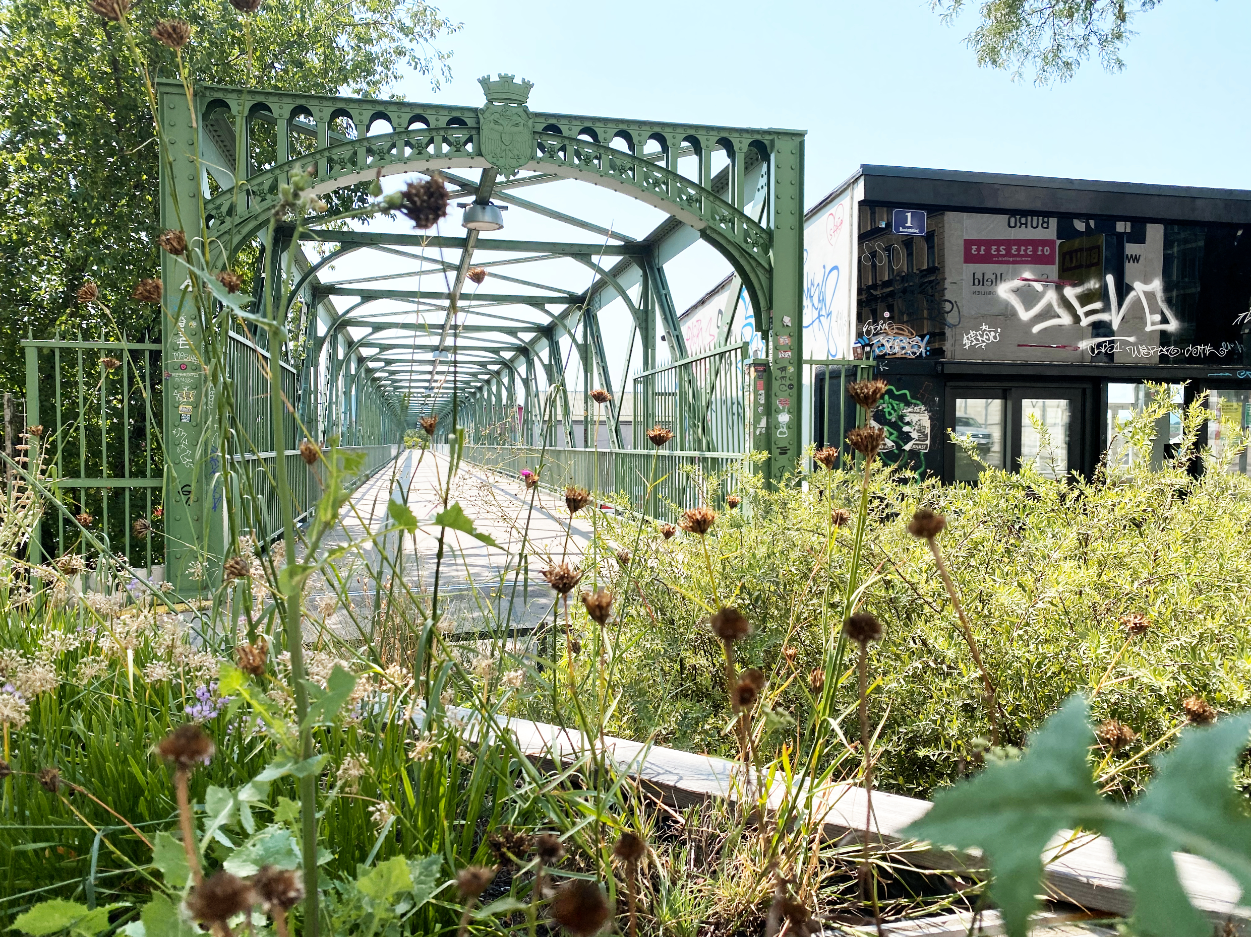 Der Rustensteg ist eine Fußgängerbrücke aus grünem Stahl über der Westbahnstrecke.